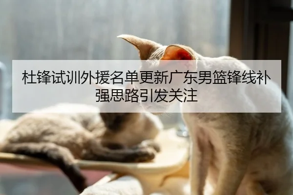 杜锋试训外援名单更新广东男篮锋线补强思路引发关注（YABO）